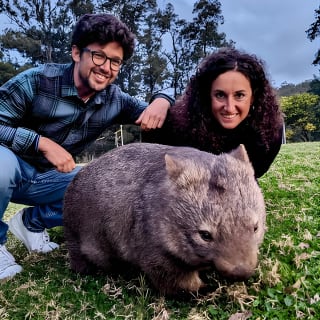 Wild Wombat et tournée du jour de kangourous depuis Sydney 1