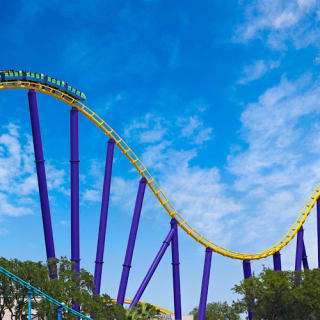 SeaWorld San Antonio: Fast Track 13