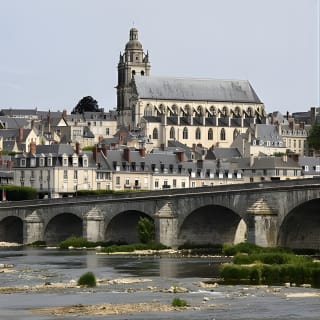 Excursion d'une journée dans les châteaux de la Loire au départ de Paris avec dégustation de vin 17