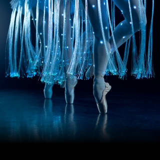 Ballet of Lights : la Belle au bois dormant dans un spectacle étincelant - Carte-cadeau 4