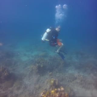 Bajo un mar de aventuras, inmersiones inolvidables. 10