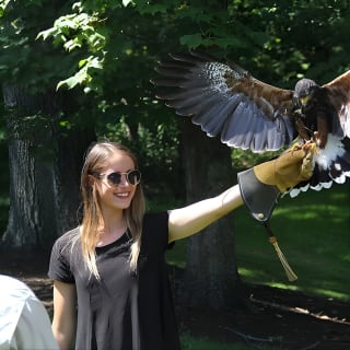 Colorado Springs Hands-On Falconry Class and Demonstration 4