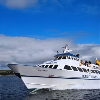 Inis Mór (Aran Islands) Day Trip: Return Ferry from Rossaveel, Galway 10
