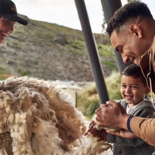 Dinner at Walter Peak High Country Farm and Cruise from Queenstown 8