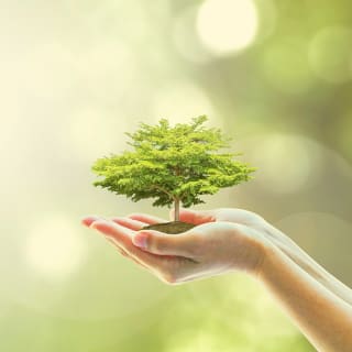 Día mundial del medioambiente 3 1