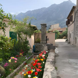 Soller Valley Walk with Orange Farm Visit 16