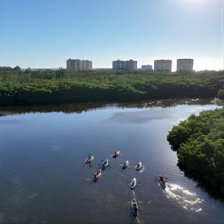 Avventura in kayak guidata nel туннель мангрови 7