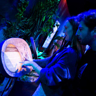 Avatar: The Experience 10