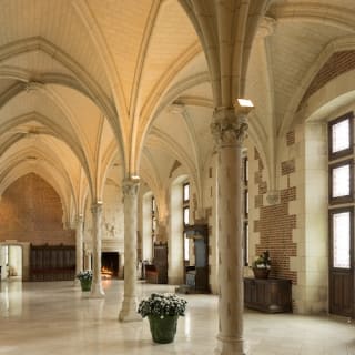 Visit to the Royal Château of Amboise 4
