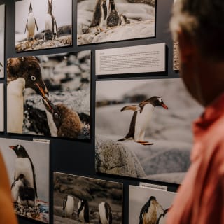 ANTARCTICA 360 – CG GALLERY | LLORET DE MAR 22
