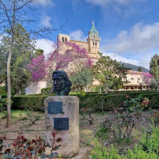 Mallorca: Das Tal der Orangenbäume und Valldemossa – Führung + Transfers 27