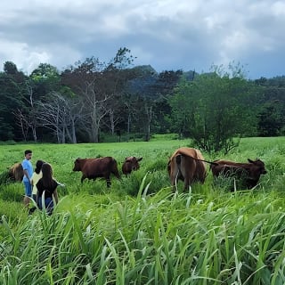 Eco Friendly Farming Tour to Explore Dorado's Most Beautiful Farm 13