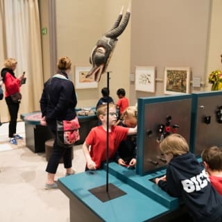AfricaMuseum, Tervuren : billet d'entrée 55