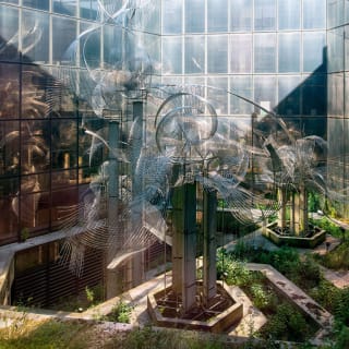 Reset Immersive - Whispering Lights : la grande exposition immersive 4