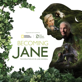 Becoming Jane 1
