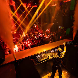 Miami Night: la massima esperienza di nightclub 12