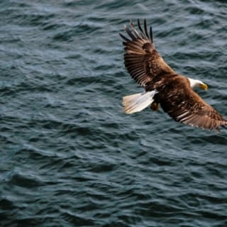 Granite Falls Cruise da Vancouver 10