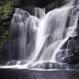Ring of Kerry Day Tour from Limerick: Including Killarney National Park 3