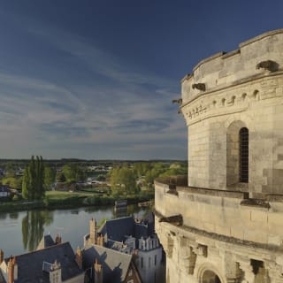 Visit to the Royal Château of Amboise 6