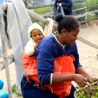 Cape Town Khayelitsha Township Tour 3