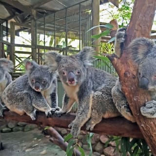 Rainforestation Nature Park 2