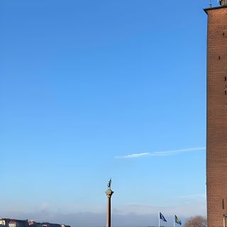 2-Hour Walking Tour Stockholm (Old Town and Surroundings) 9