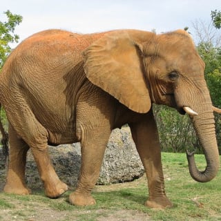 Zoo Miami: Florida's largest zoo! 2