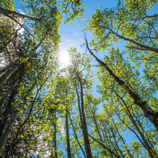 Hiking Adventure in Rocky Mountain National Park from Denver 10