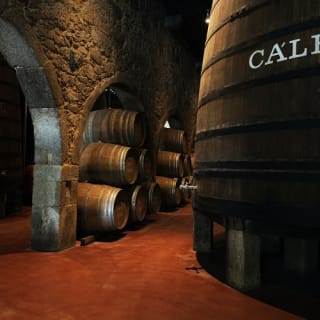 Caves Cálem: visita guiada com prova de vinhos e fado ao vivo 5