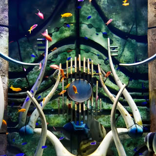 Skip the Line: ingresso per Lost Chambers da Atlantis The Palm 10