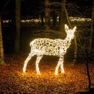 La Féerie des Lumières au Chemin des Cimes Alsace - Carte Cadeau 6