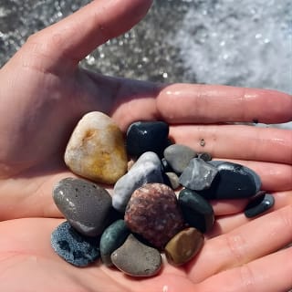 Pinery Provincial Park Hike and Beach Day Tour from Toronto 5