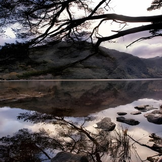Kilkenny, Wicklow Mountains, Glendalough, Schäferhunde-Wettbewerb – Tagesausflug ab Dublin 5