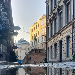 Stockholm Like a Local: Customized Private Tour 4