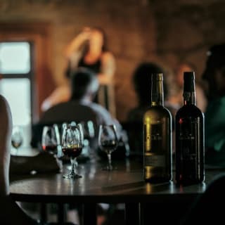 Caves Cálem: visita guiada com prova de vinhos e fado ao vivo 3