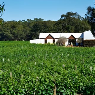 Upper Reach Winery: Swan Valley Winery and Vineyard Tour 1