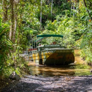 Rainforestation Nature Park 7