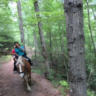 Guided Horseback Ride through Flame Azalea and Fern Forest 4