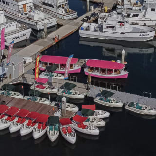 Pedal Boat rental in hidden part of San Diego Bay! 9