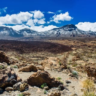 Isla española 5 1