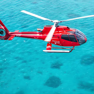 Great Barrier Reef or Rainforest Scenic Flights from Port Douglas 2