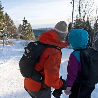 4 hours Winter View of the Oslofjord Walk Tour  2