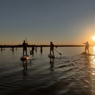 Paddleboarding in Dublin 4