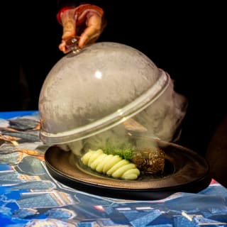 Sensory Feast: A Magical Dining Experience 3