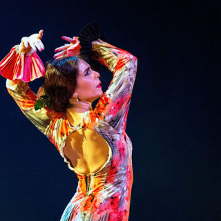 Tablao La Manuela: show de flamenco 2