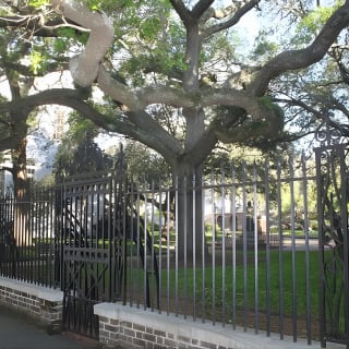 City Bus Tour with Charleston Museum Admission 5