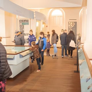 Boston's Old State House & Old South Meeting House Museums 15