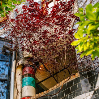 Kunst Haus Wien - Museum Hundertwasser 10