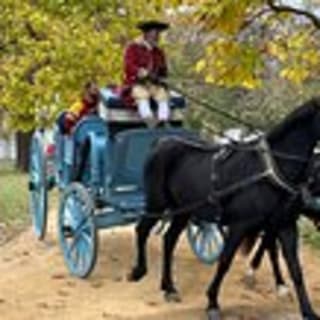 Exclusive Private Tour of Colonial Williamsburg and the College 2
