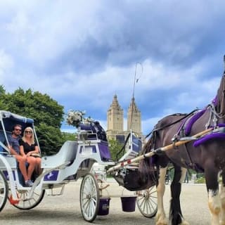 Central Park Horse and Carriage Rides 2